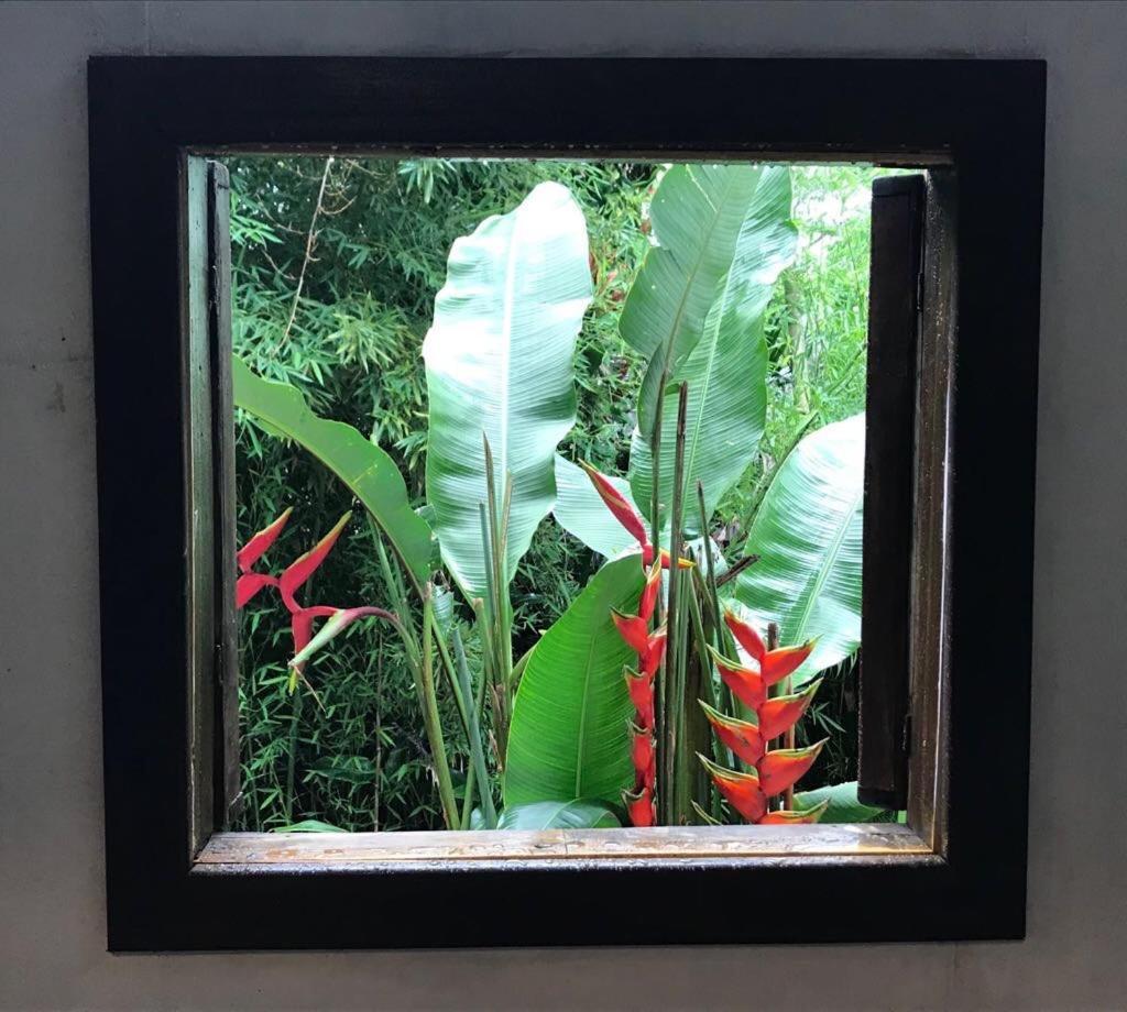 Pousada Rainforest House - Ilha Grande Εξωτερικό φωτογραφία