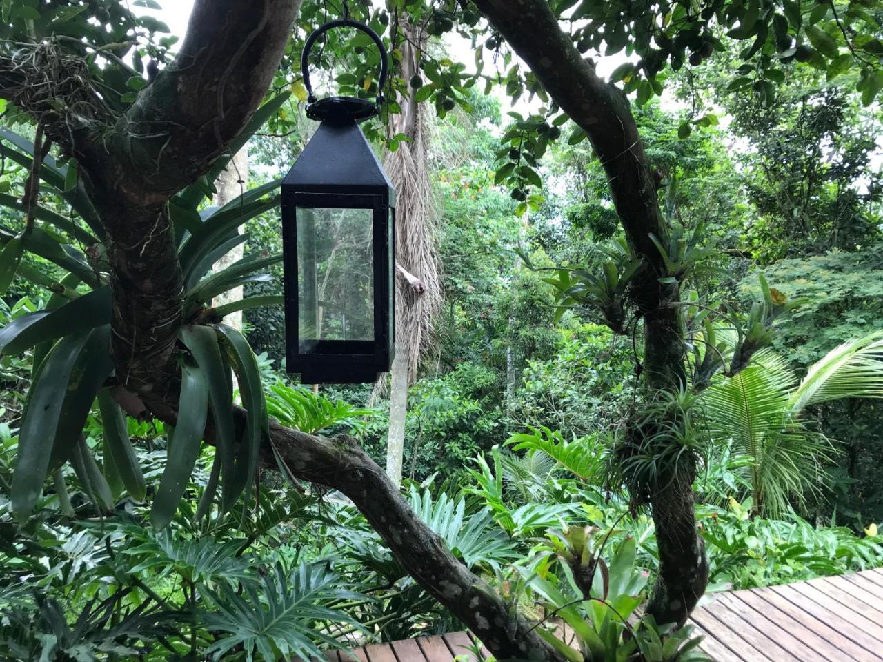 Pousada Rainforest House - Ilha Grande Εξωτερικό φωτογραφία