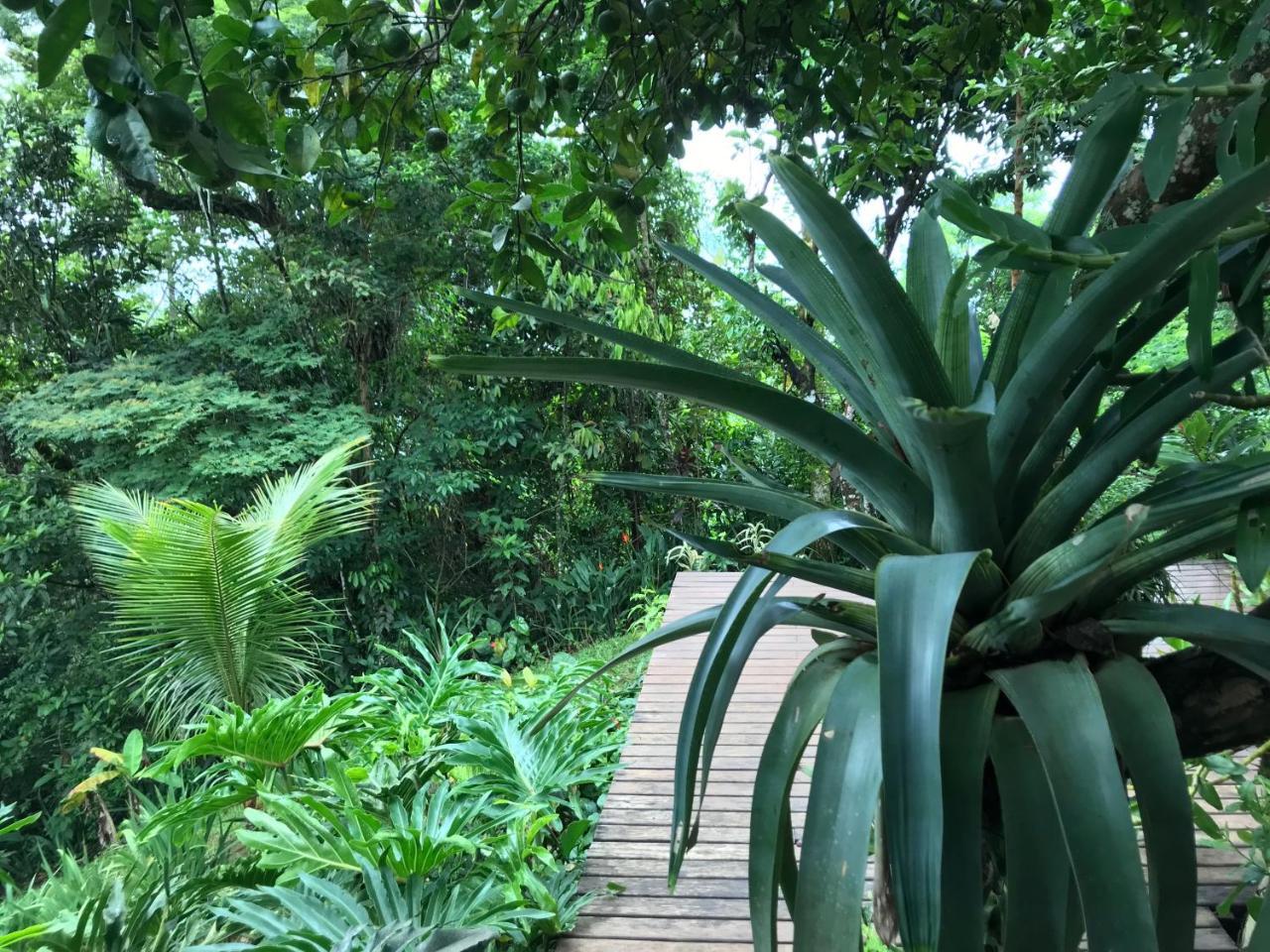 Pousada Rainforest House - Ilha Grande Εξωτερικό φωτογραφία