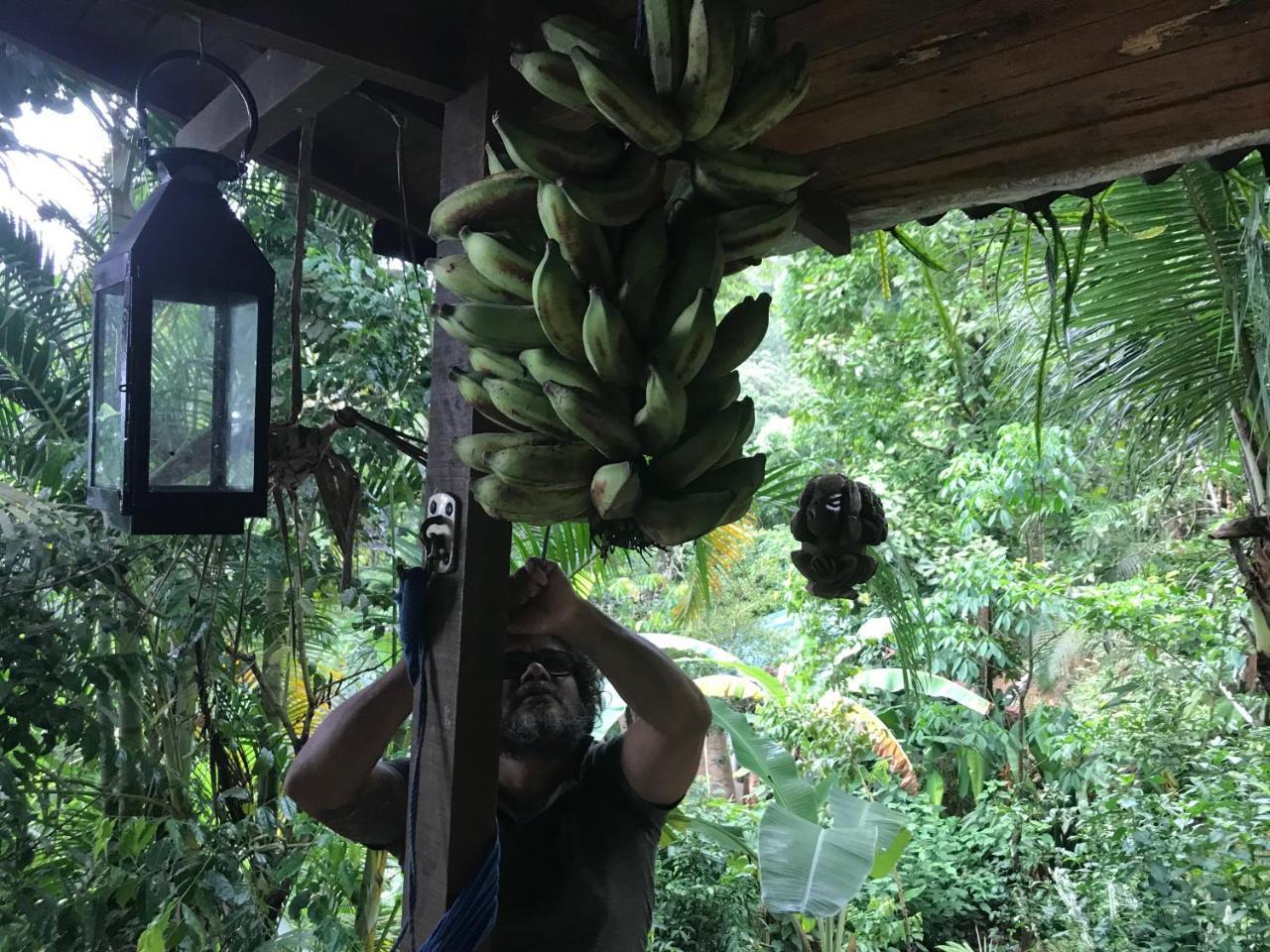Pousada Rainforest House - Ilha Grande Εξωτερικό φωτογραφία